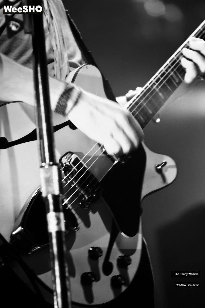 10/31 photos du spectacle The Dandy Warhols