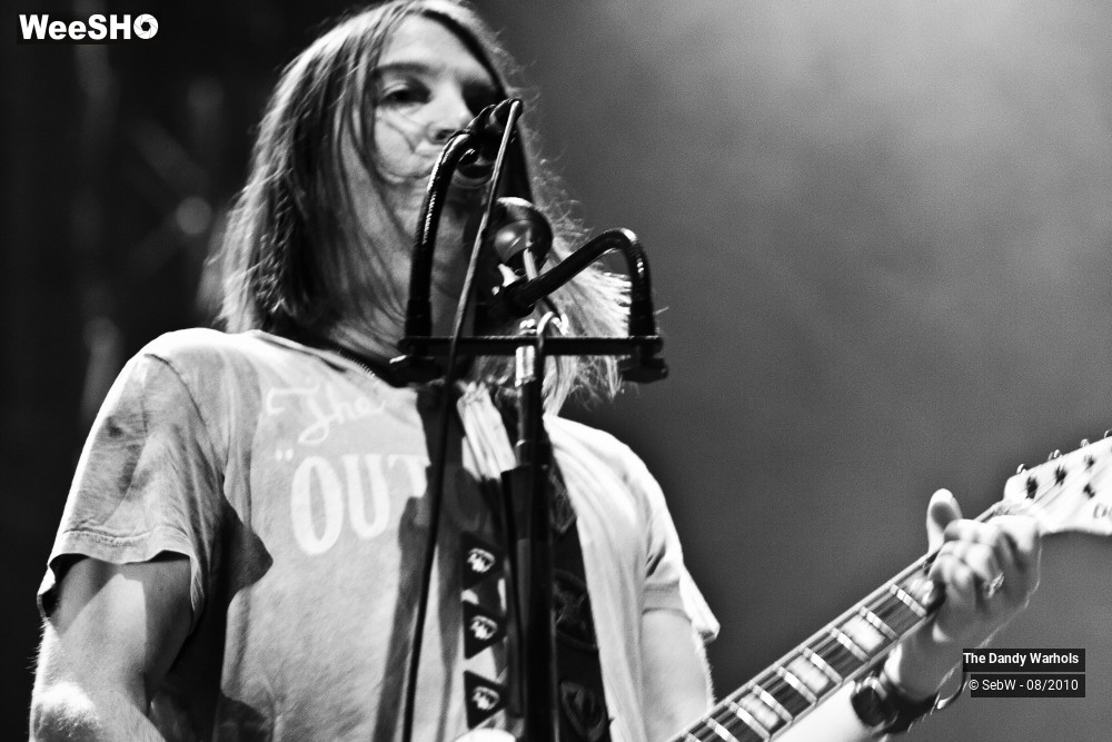 20/31 photos du spectacle The Dandy Warhols