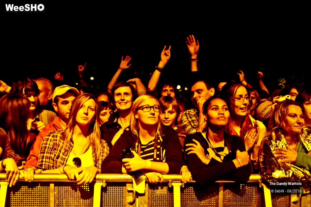 25/31 photos du spectacle The Dandy Warhols