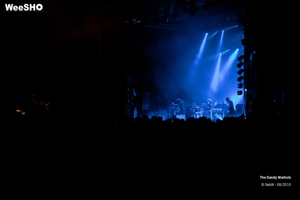 29/31 photos du spectacle The Dandy Warhols