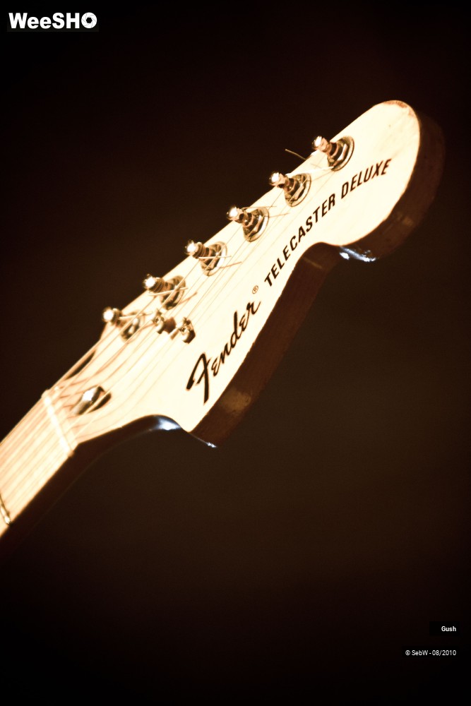 24/37 photos du spectacle Gush