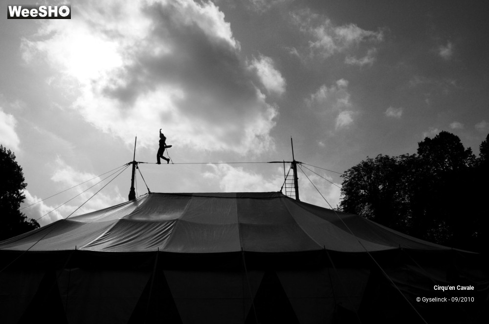 8/43 photos du spectacle Cirqu'en Cavale