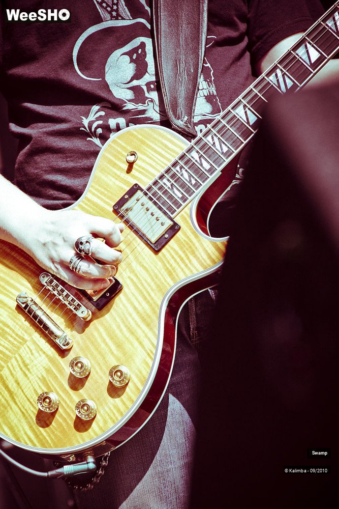 6/25 photos du spectacle Swamp