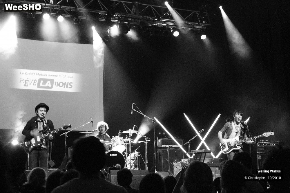 1/18 photos du spectacle Welling Walrus