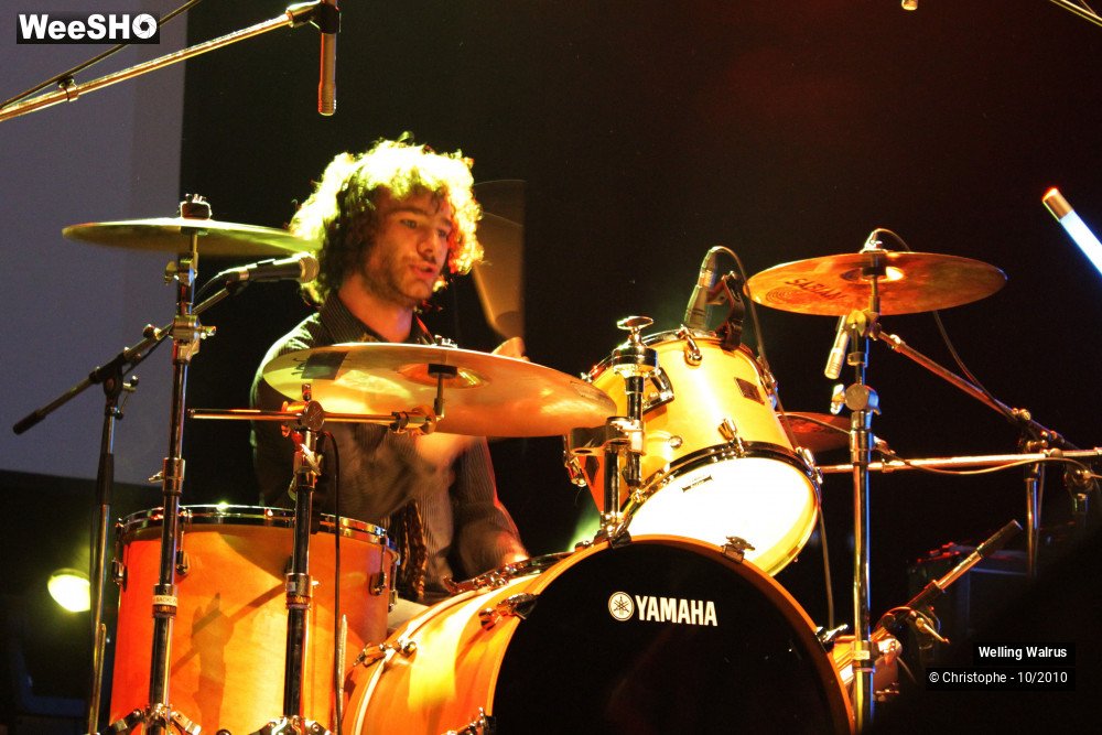 5/18 photos du spectacle Welling Walrus