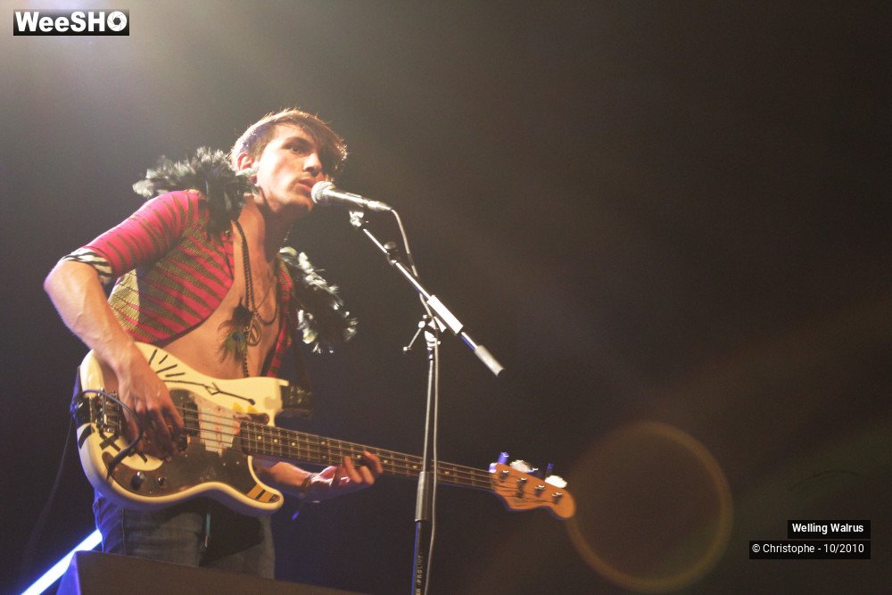 6/18 photos du spectacle Welling Walrus