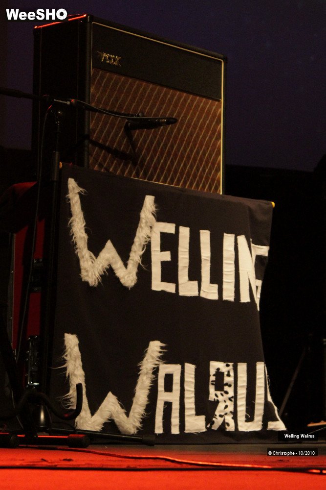 10/18 photos du spectacle Welling Walrus