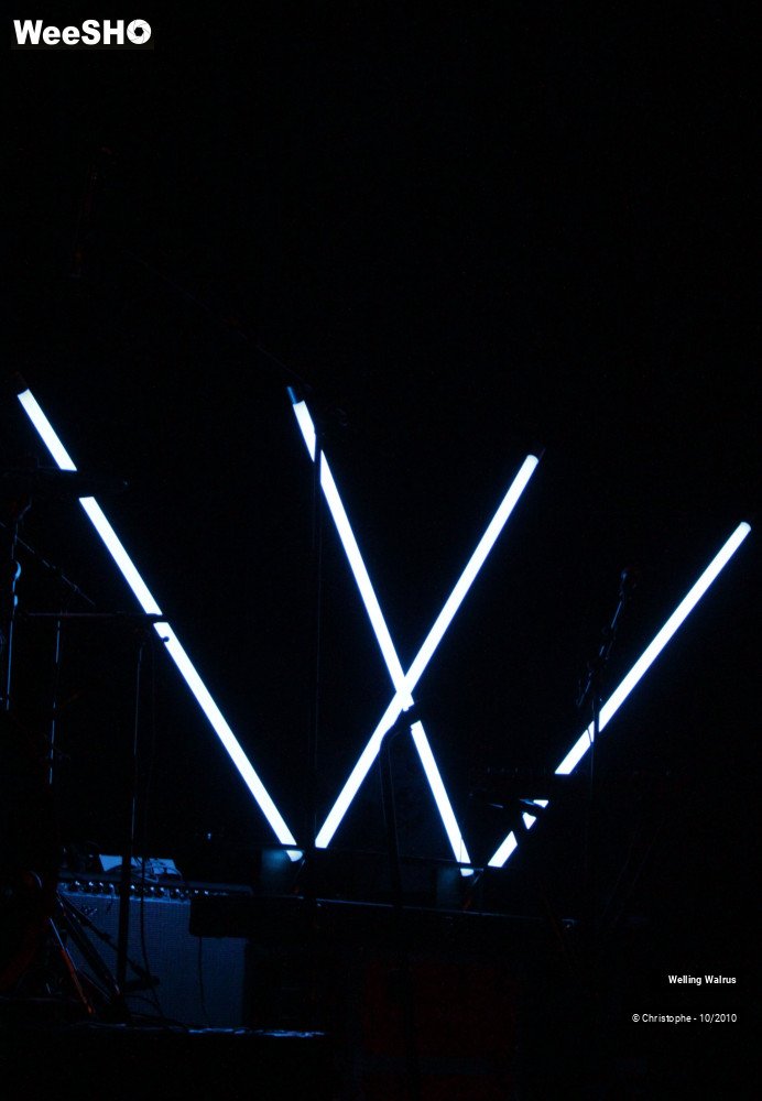 11/18 photos du spectacle Welling Walrus