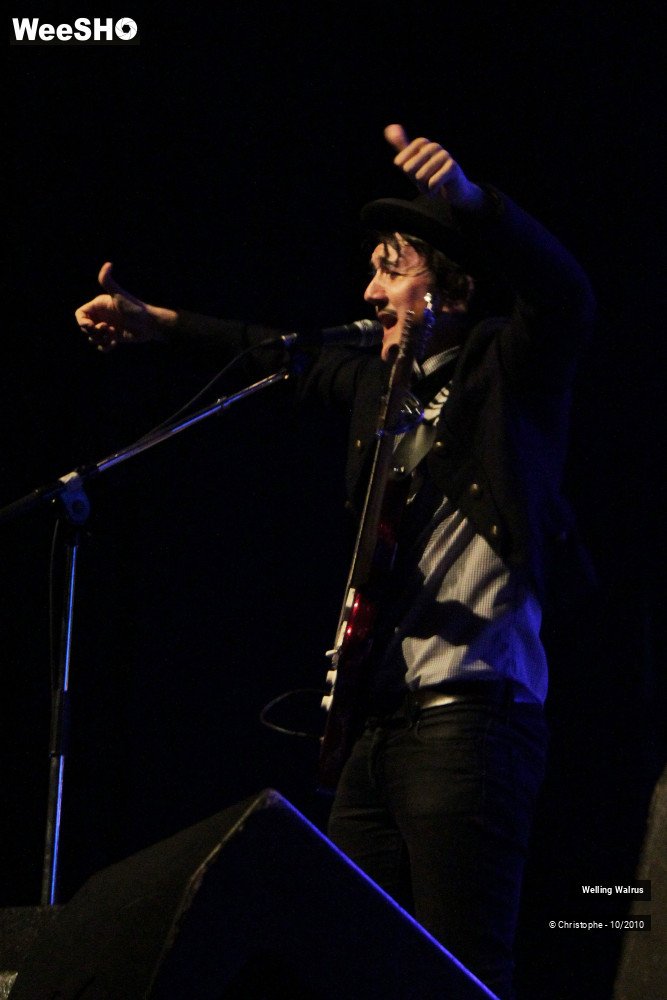 12/18 photos du spectacle Welling Walrus