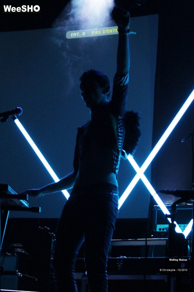 14/18 photos du spectacle Welling Walrus