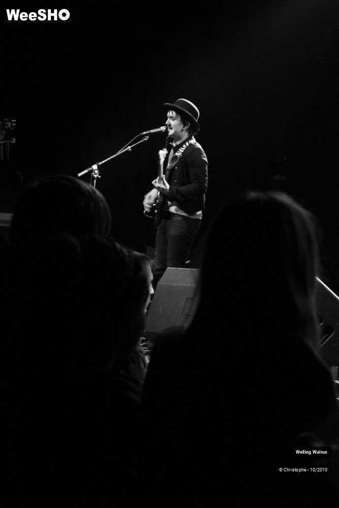 16/18 photos du spectacle Welling Walrus