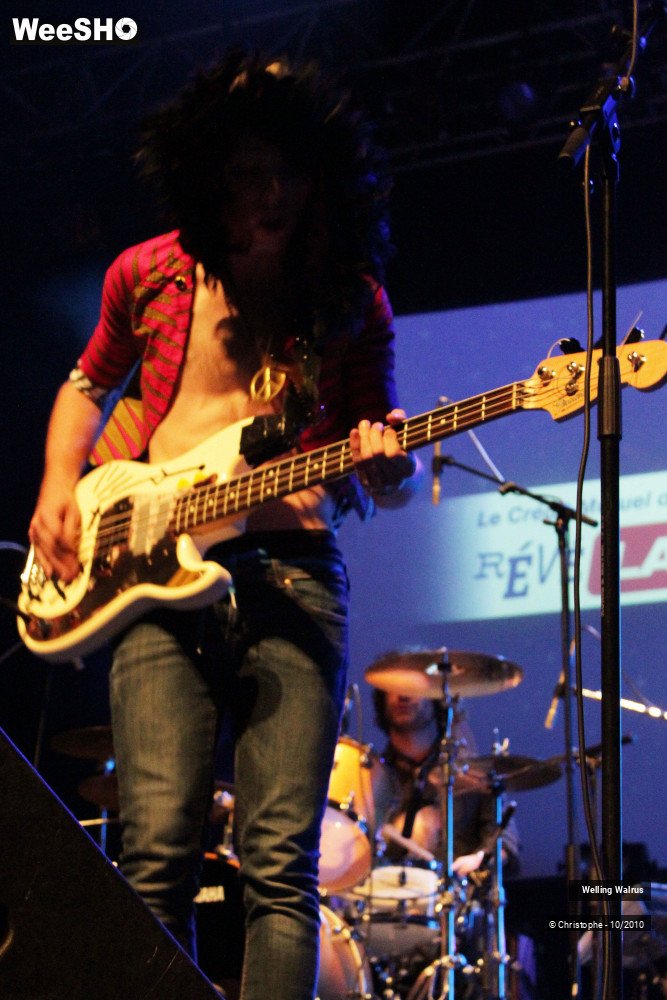 18/18 photos du spectacle Welling Walrus