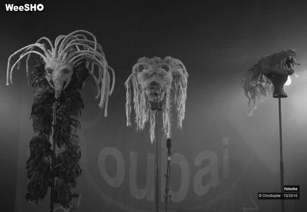 2/46 photos du spectacle Feloche