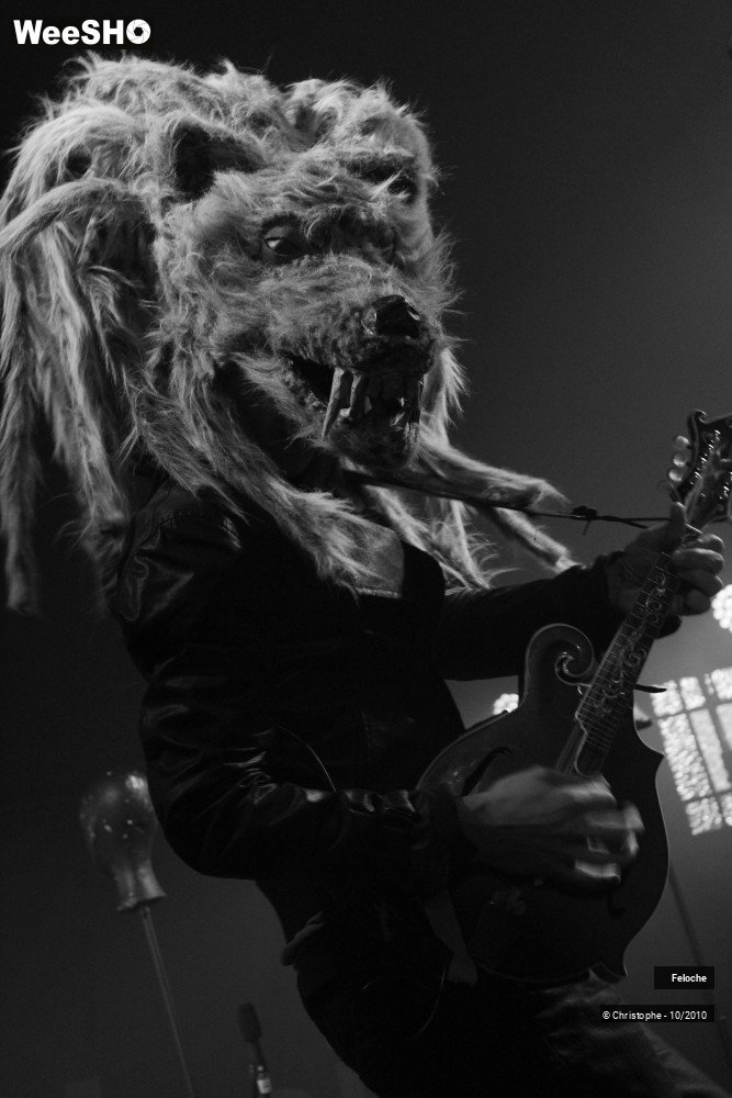 32/46 photos du spectacle Feloche