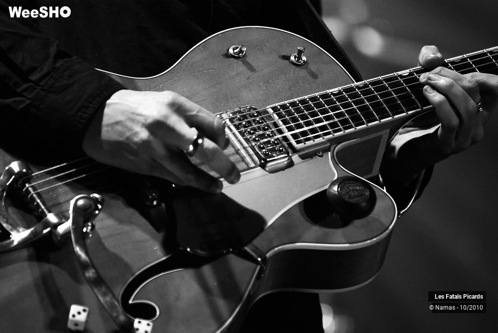 45/50 photos du spectacle Les Fatals Picards