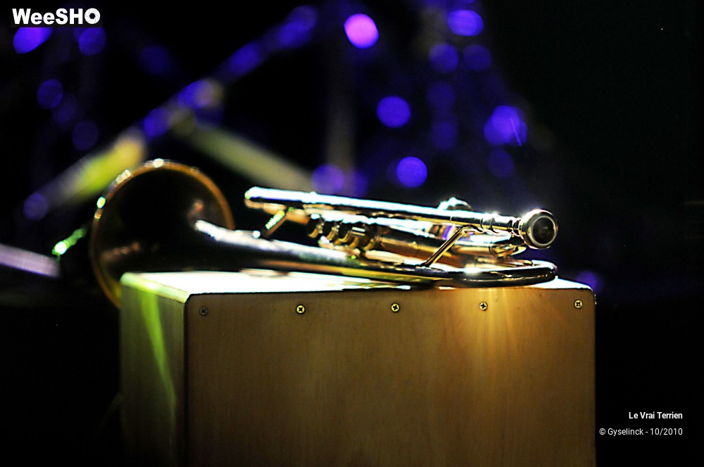 12/20 photos du spectacle Le Vrai Terrien