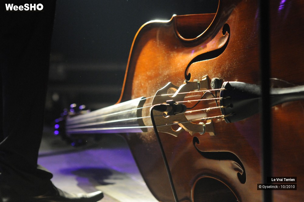 13/20 photos du spectacle Le Vrai Terrien