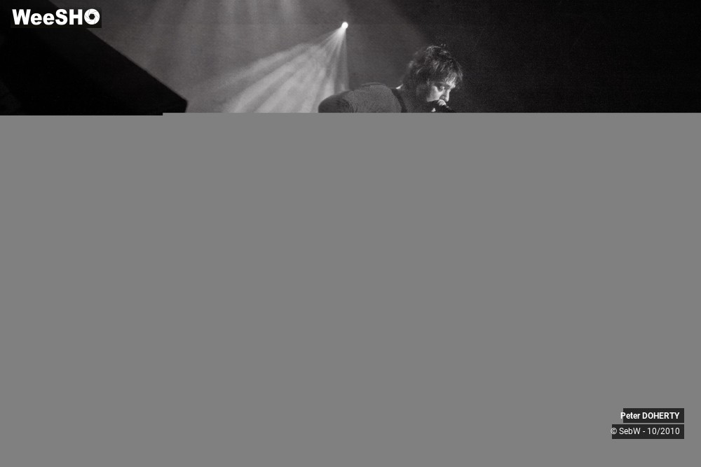2/5 photos du spectacle Peter Doherty