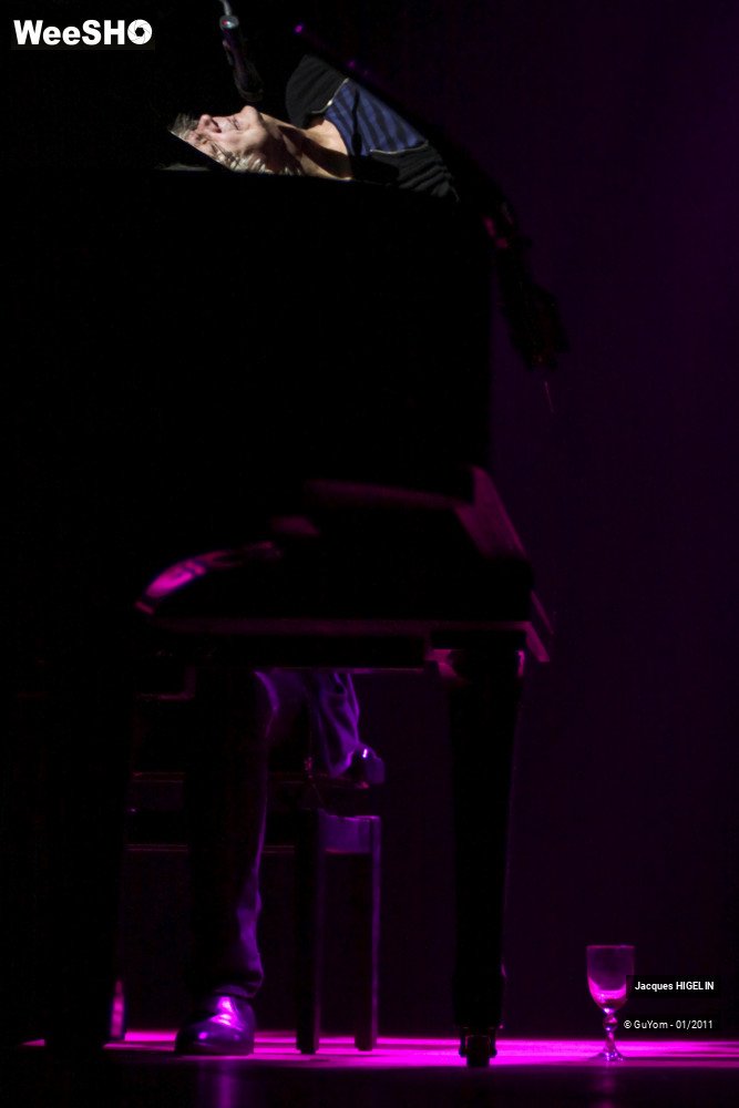 13/50 photos du spectacle Jacques HIGELIN