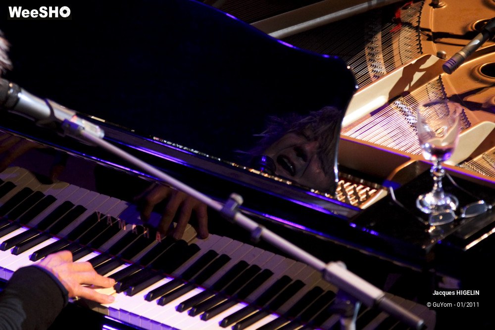 24/50 photos du spectacle Jacques HIGELIN