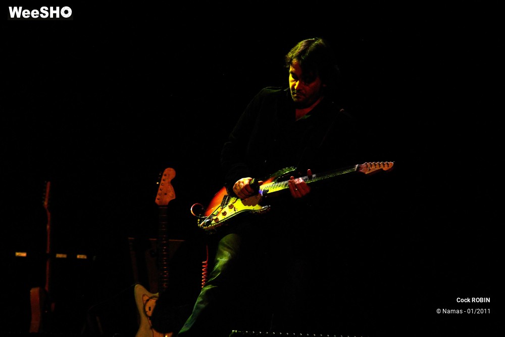 14/28 photos du spectacle Cock Robin