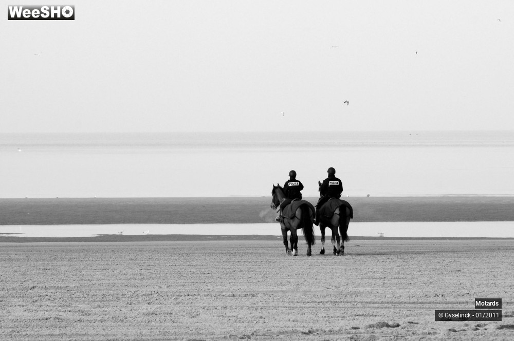 8/44 photos du spectacle Enduropale 2011