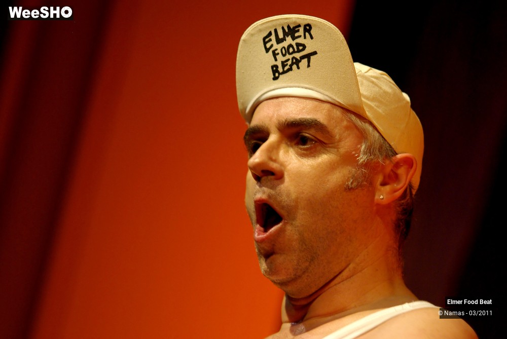 4/44 photos du spectacle Elmer Food Beat