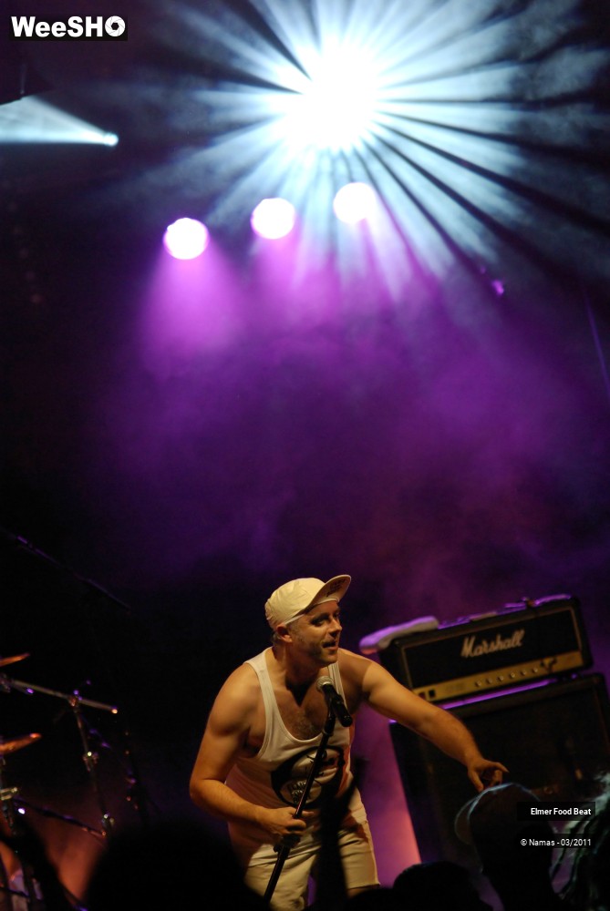 14/44 photos du spectacle Elmer Food Beat