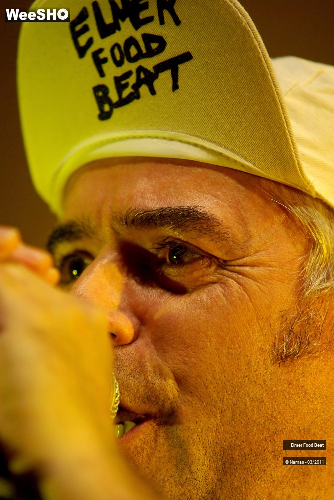 23/44 photos du spectacle Elmer Food Beat