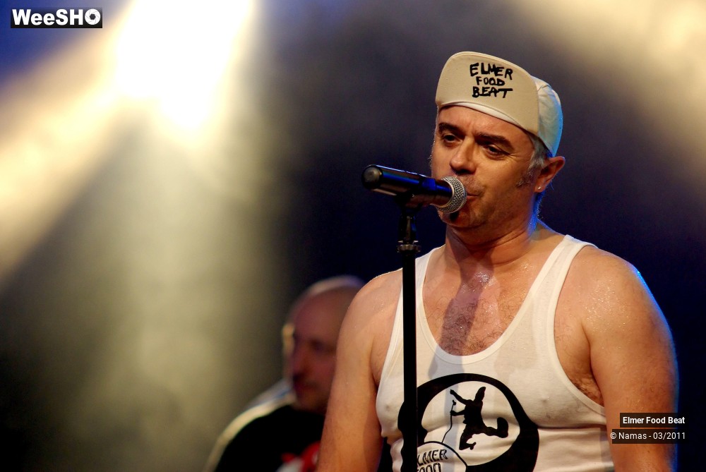 27/44 photos du spectacle Elmer Food Beat