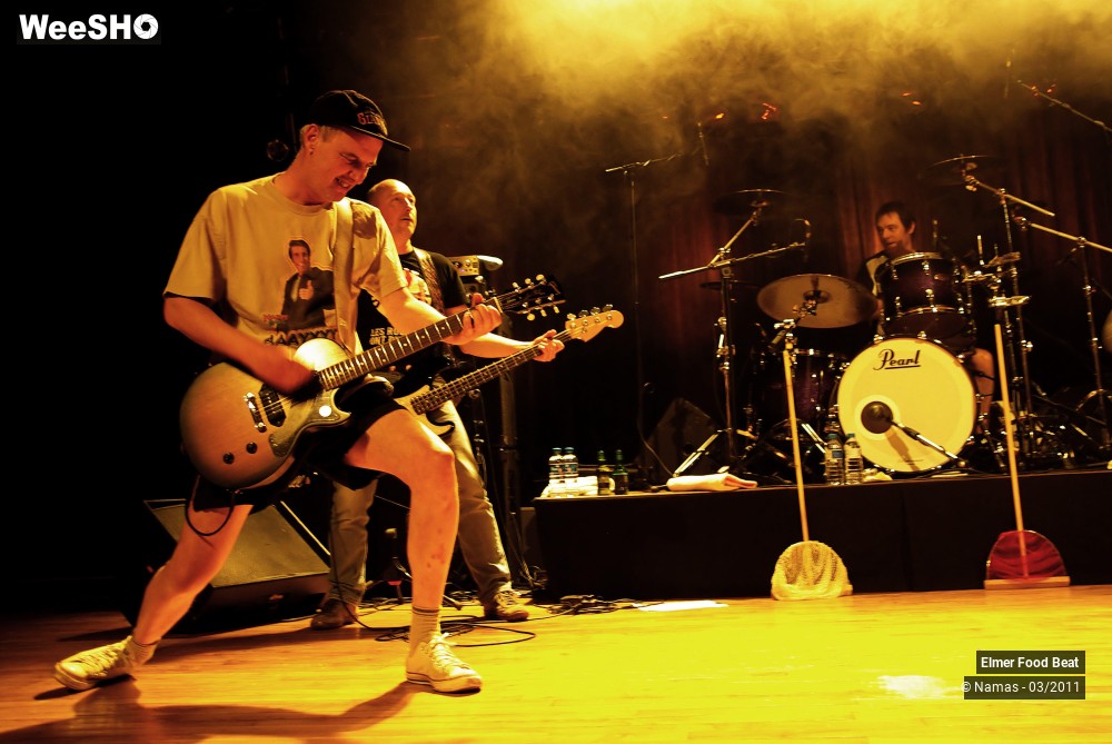 33/44 photos du spectacle Elmer Food Beat