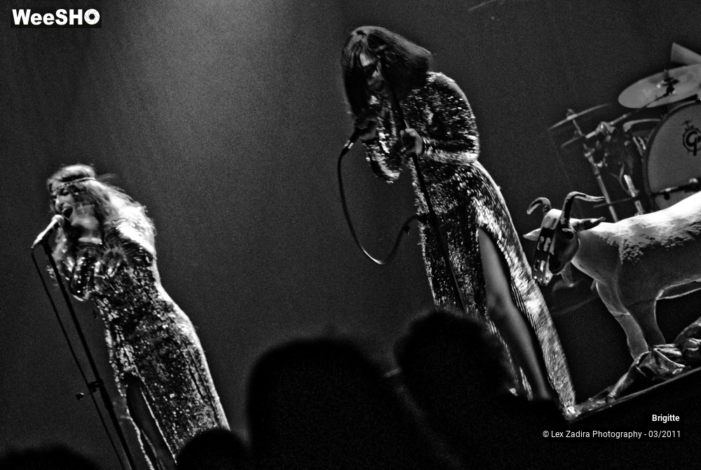 14/23 photos du spectacle Brigitte