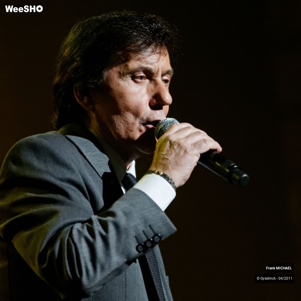 7/38 photos du spectacle Frank MICHAEL
