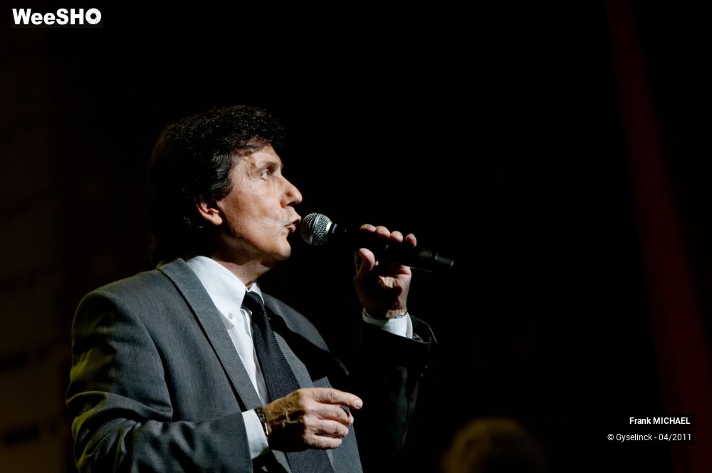 8/38 photos du spectacle Frank MICHAEL