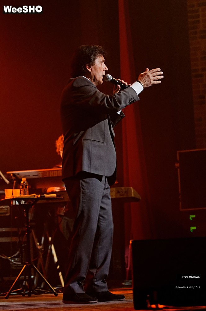 13/38 photos du spectacle Frank MICHAEL