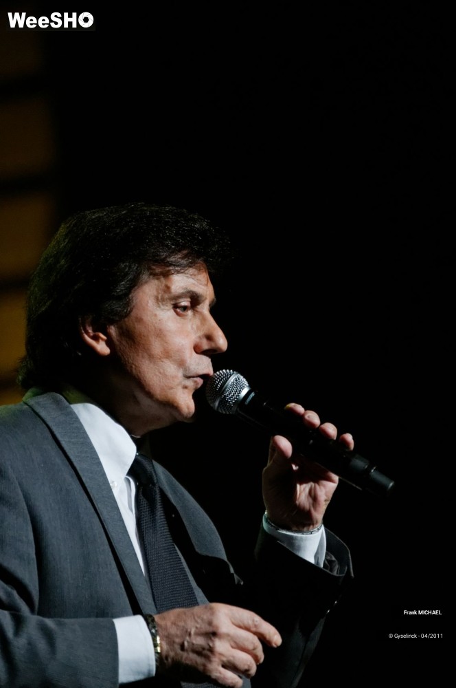 14/38 photos du spectacle Frank MICHAEL