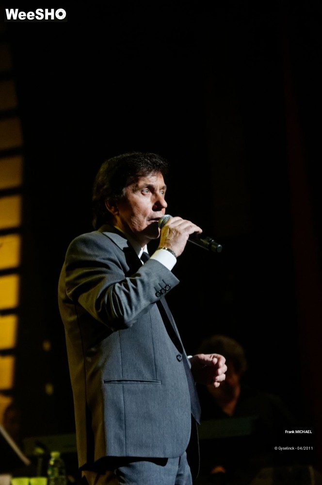 15/38 photos du spectacle Frank MICHAEL