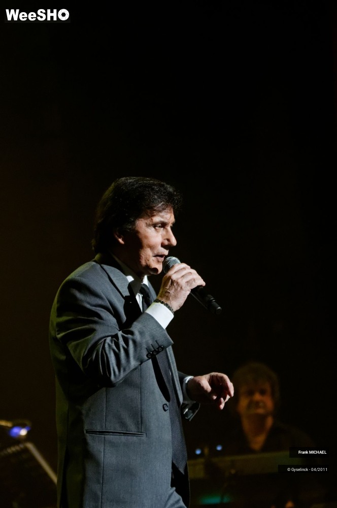 16/38 photos du spectacle Frank MICHAEL