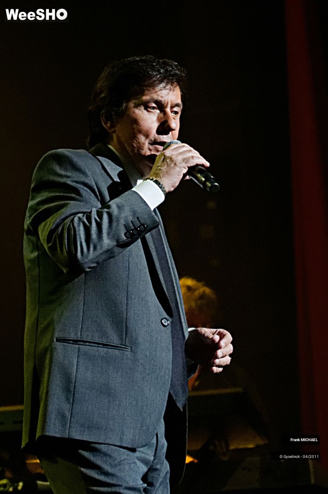 17/38 photos du spectacle Frank MICHAEL