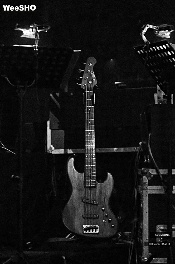 18/38 photos du spectacle Frank MICHAEL