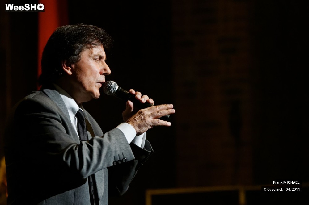 29/38 photos du spectacle Frank MICHAEL