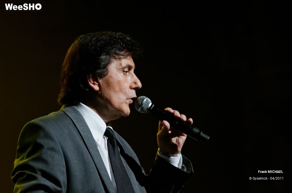 31/38 photos du spectacle Frank MICHAEL