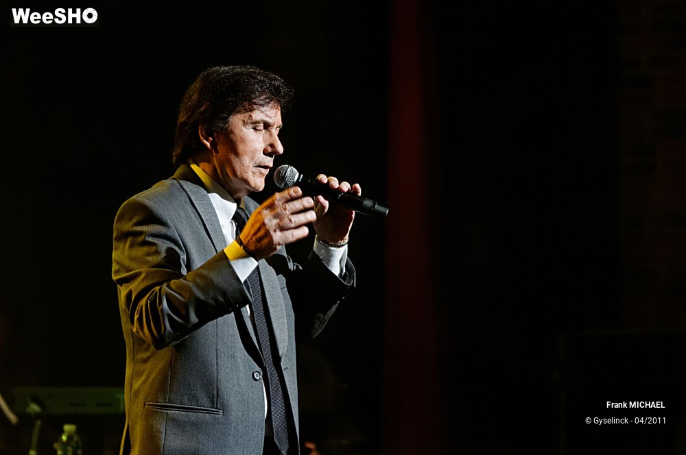 32/38 photos du spectacle Frank MICHAEL