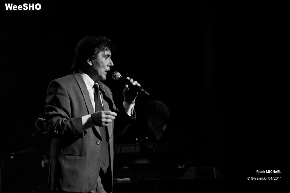 33/38 photos du spectacle Frank MICHAEL