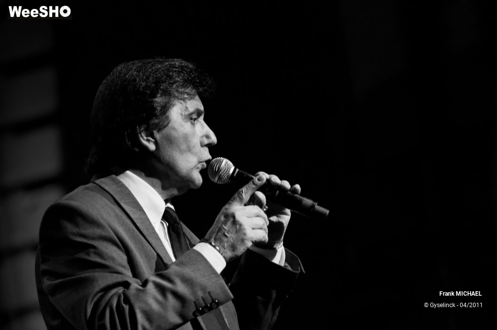 35/38 photos du spectacle Frank MICHAEL