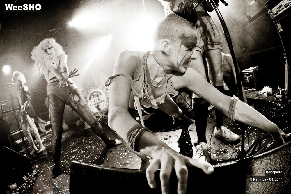 11/47 photos du spectacle Bonaparte