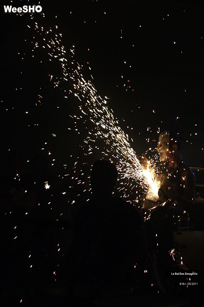 27/50 photos du spectacle Le Bal des Enragés