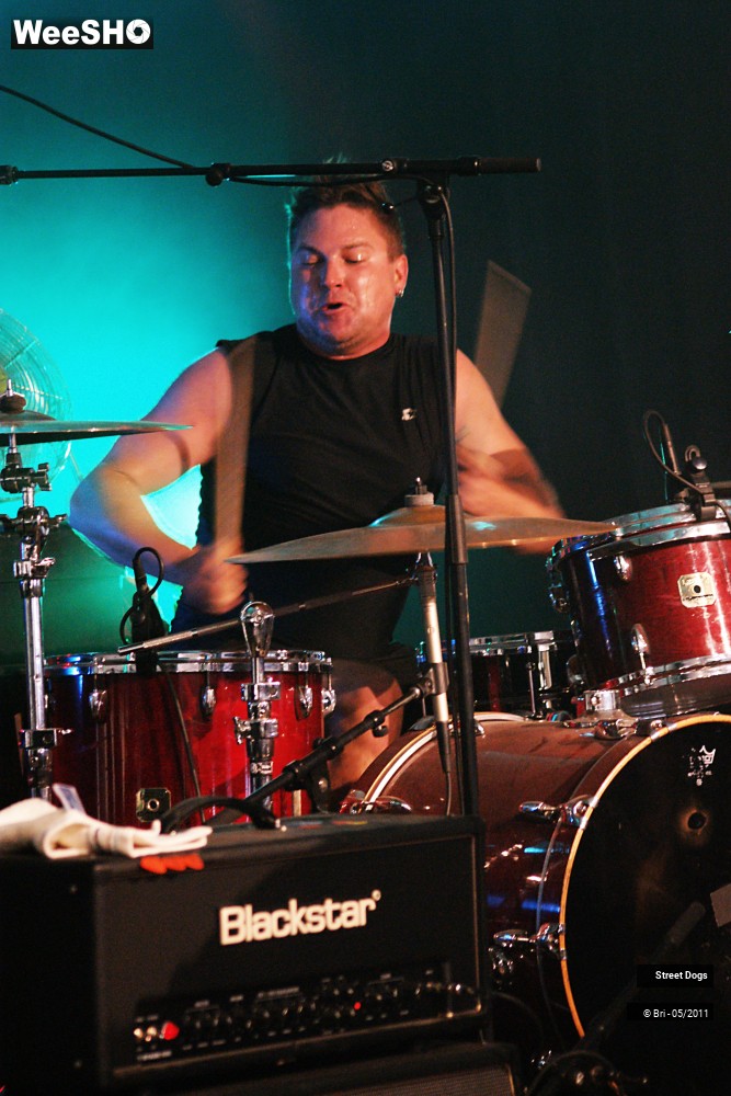 1/14 photos du spectacle Street Dogs