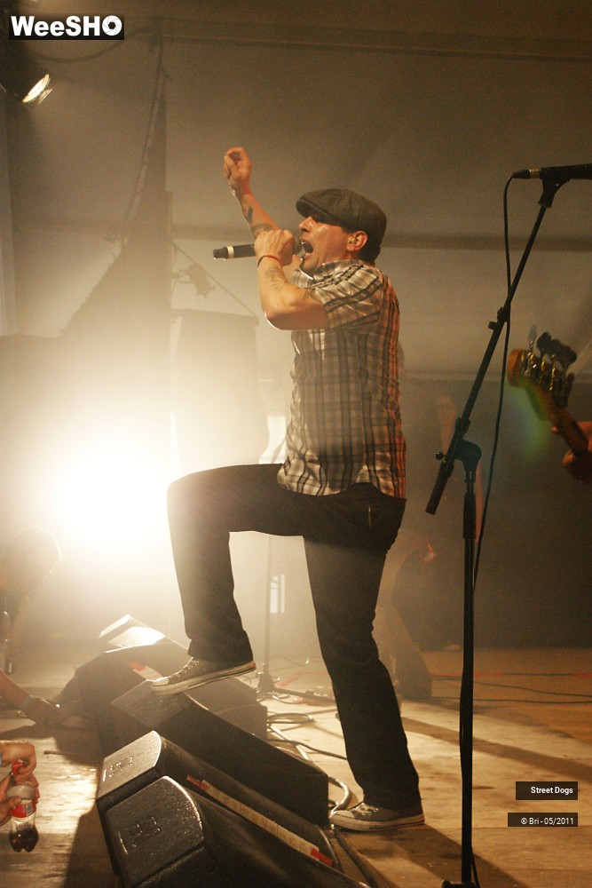 3/14 photos du spectacle Street Dogs