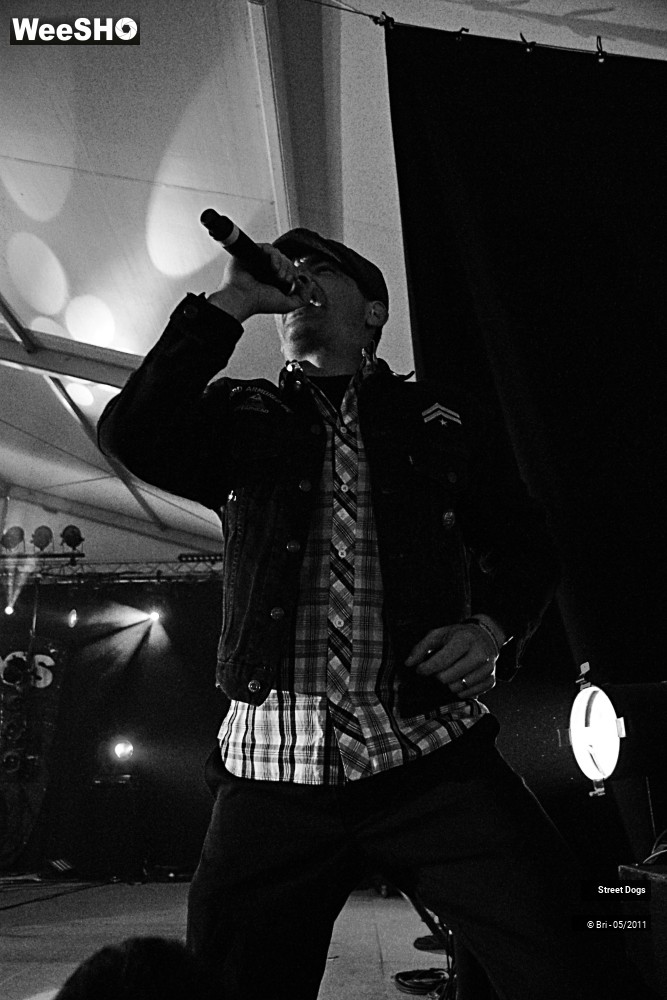 5/14 photos du spectacle Street Dogs